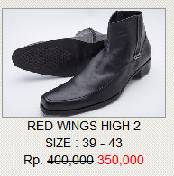 boots-redwingsshoes.png