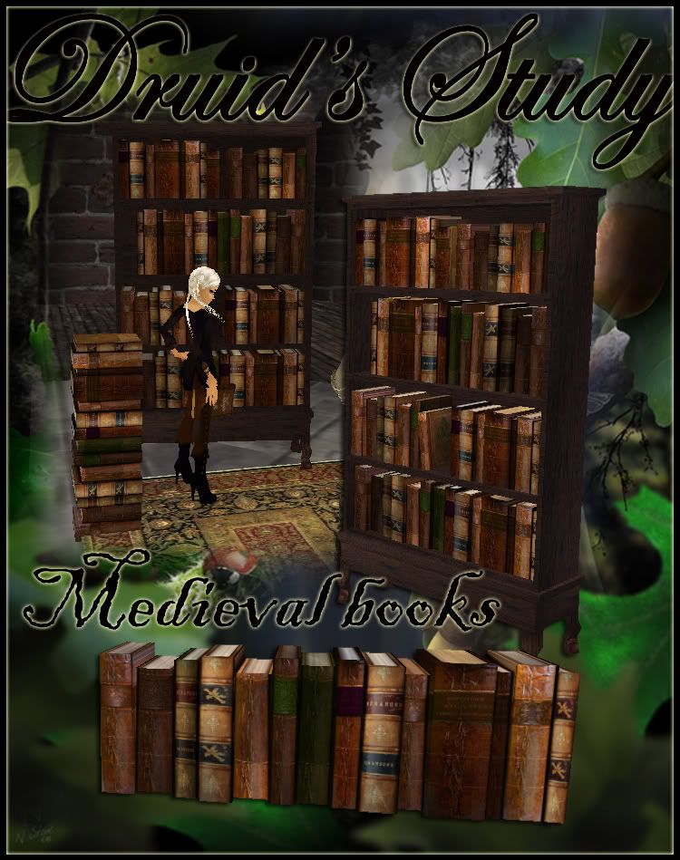 medieval books druid's study 1