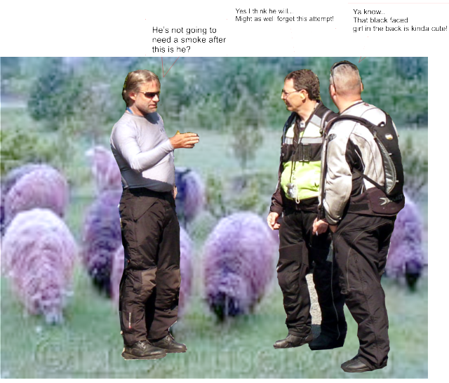 Posted Image