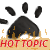 Hot Topic