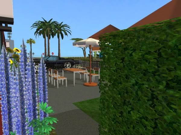 snapshot_0000000d_98f1f8cf.jpg