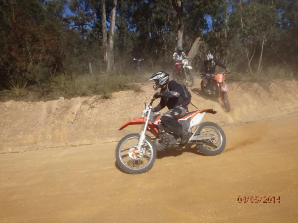 P5040006_zpsc095a2c2.jpg