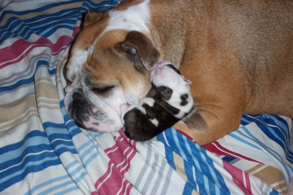 Ruby and baby Ivana