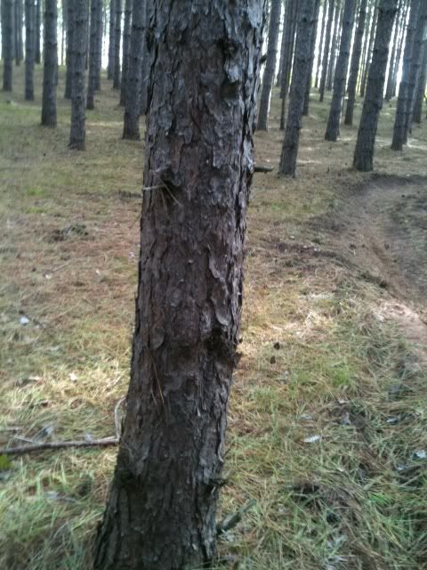 photo53.jpg