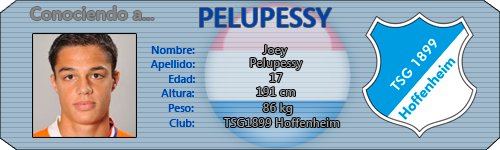 ConociendoaJoeyPelupessy.png