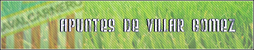 ApuntesdeVillarGomez.png