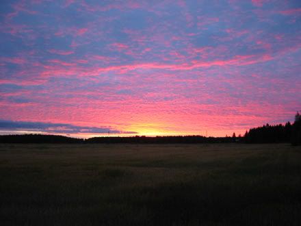 06-32.jpg
