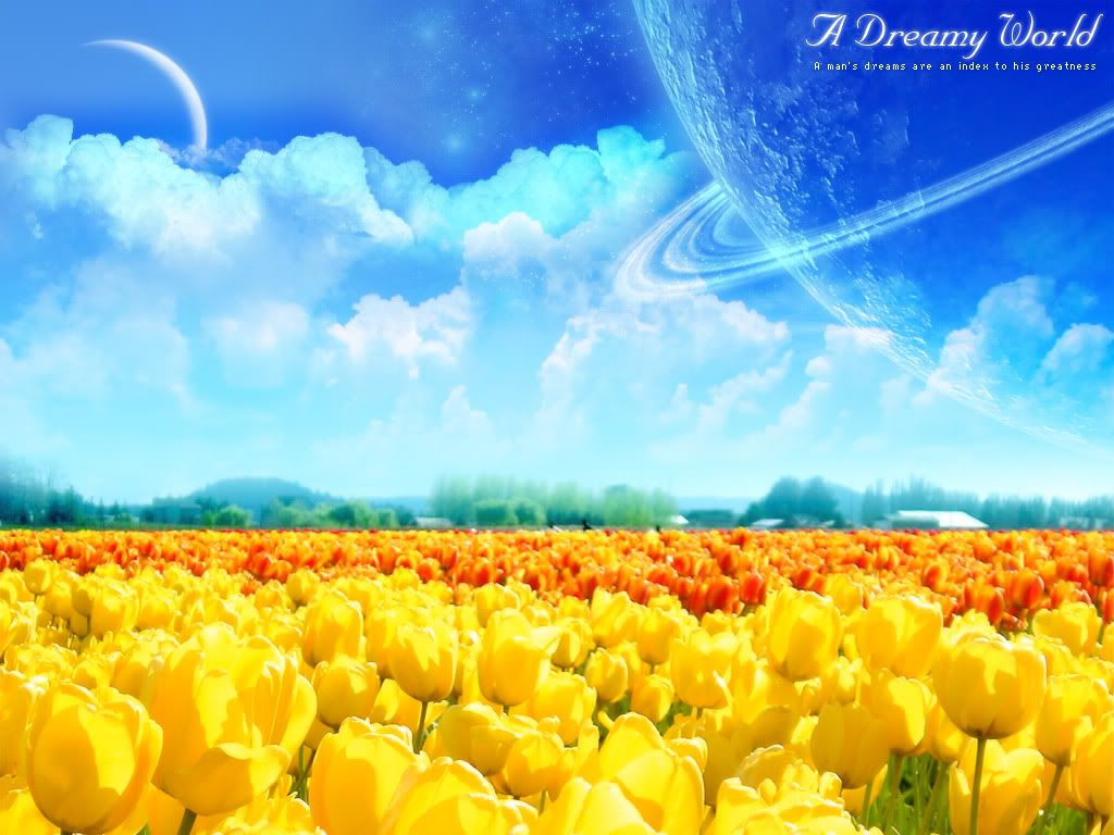 A_Dreamy_World_9th.jpg