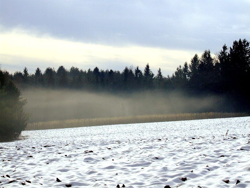 DSCF6599.jpg