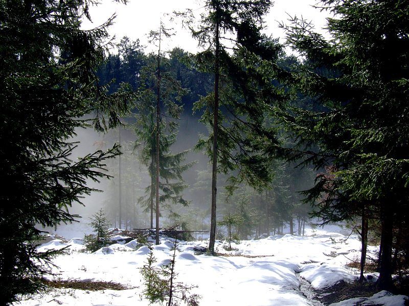 DSCF6618.jpg
