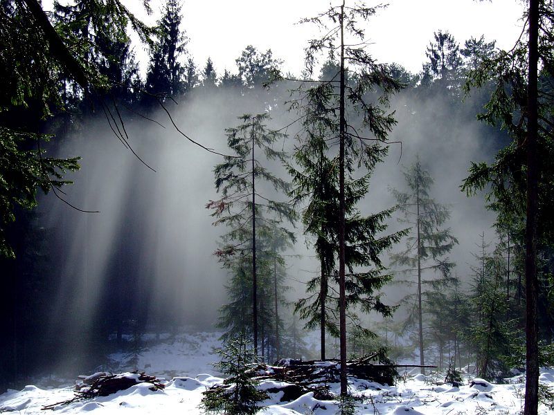 DSCF6621.jpg