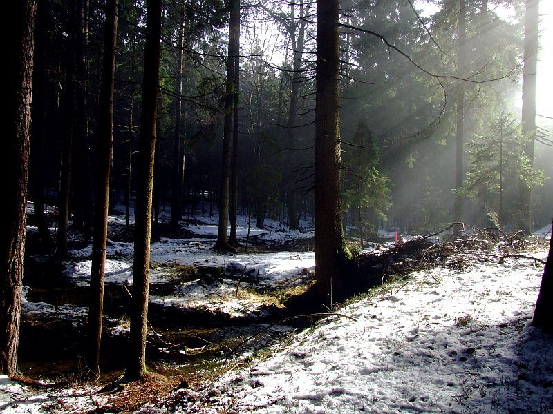 DSCF6622.jpg