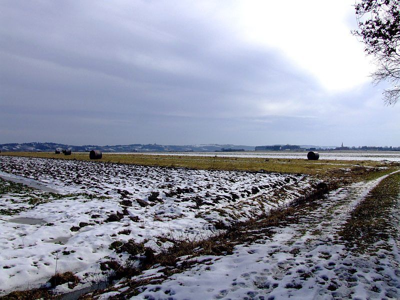DSCF6628.jpg