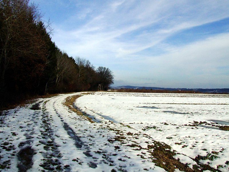DSCF6629.jpg