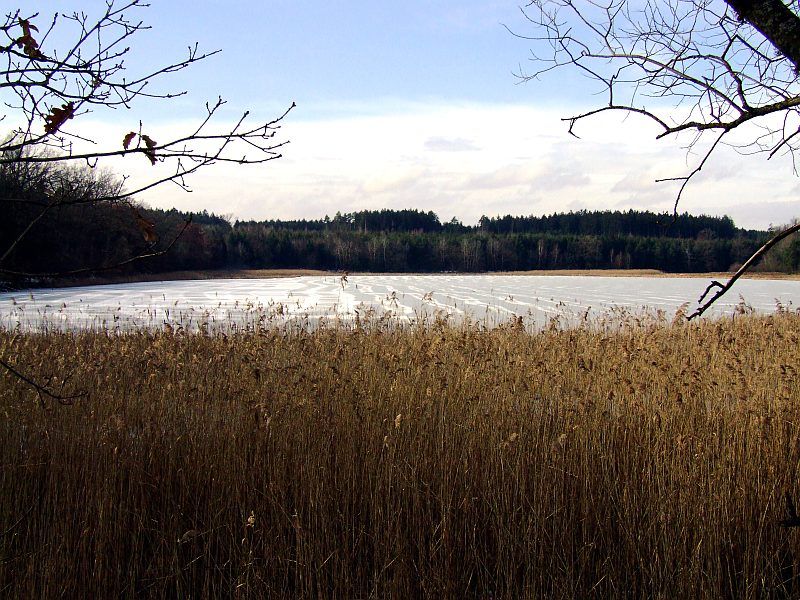 DSCF6635.jpg