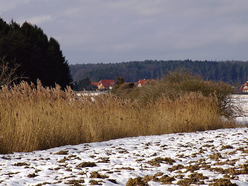 DSCF6642.jpg