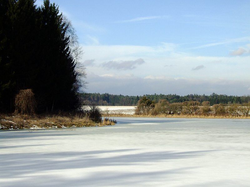 DSCF6652.jpg