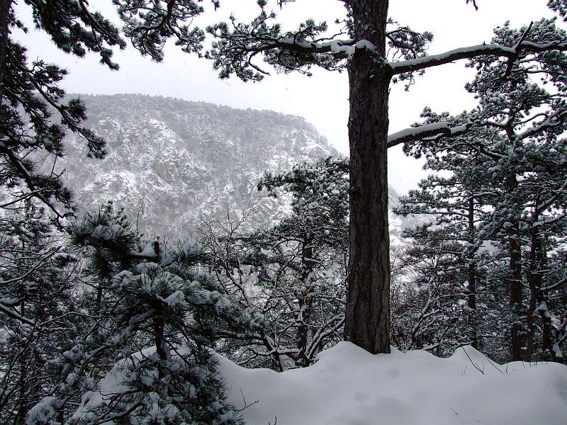 DSCF6655.jpg