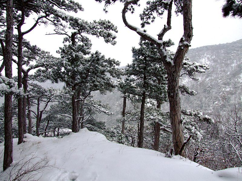 DSCF6656.jpg