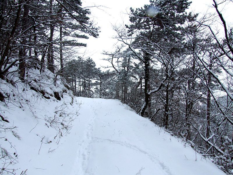 DSCF6658.jpg