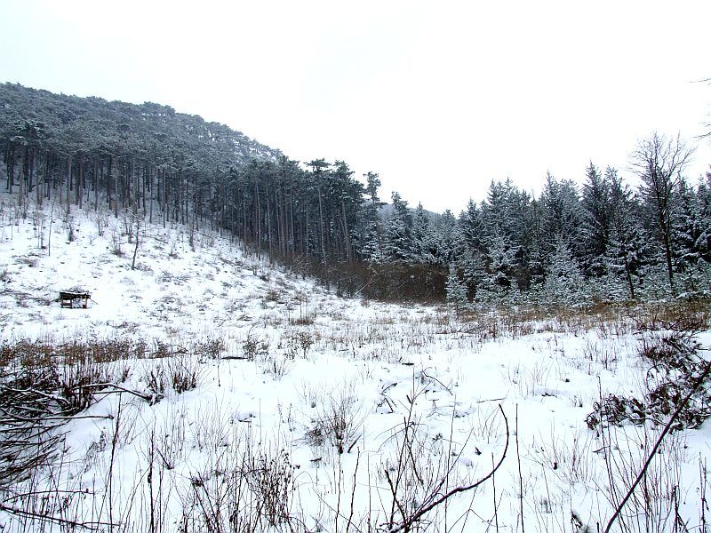 DSCF6661.jpg