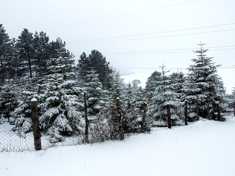 DSCF6664.jpg