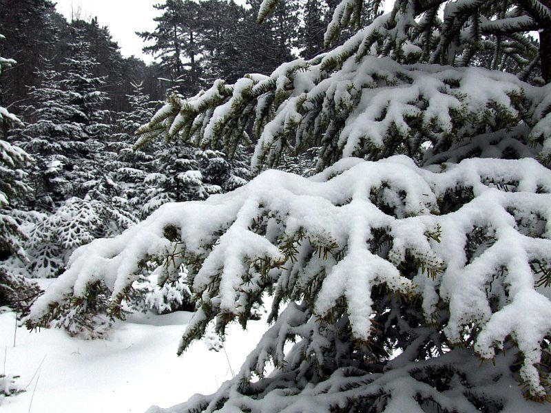 DSCF6666.jpg