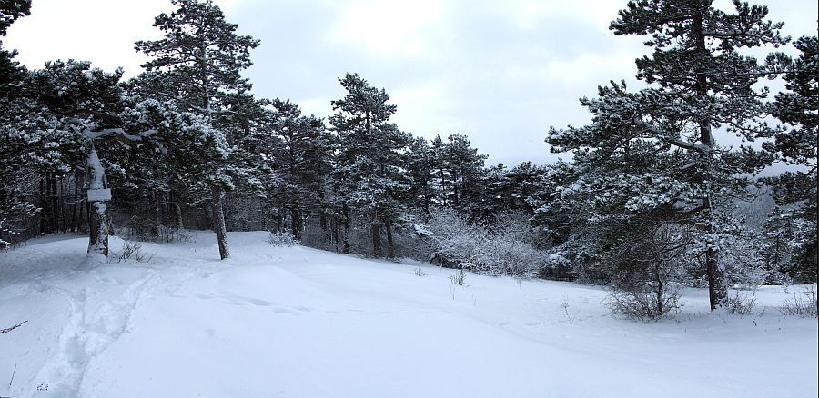 DSCF6681_84.jpg