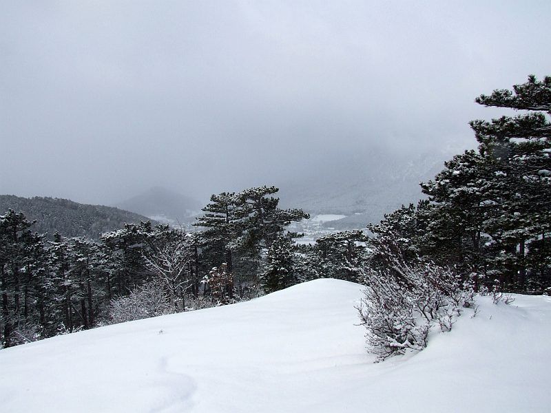 DSCF6686.jpg