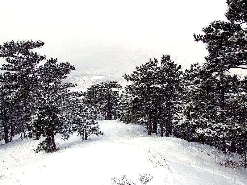 DSCF6688.jpg
