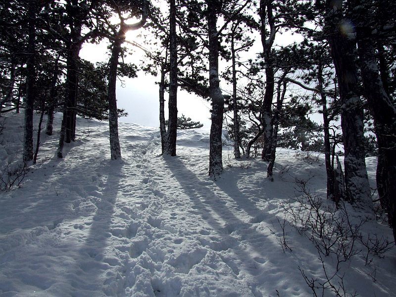 DSCF6698.jpg