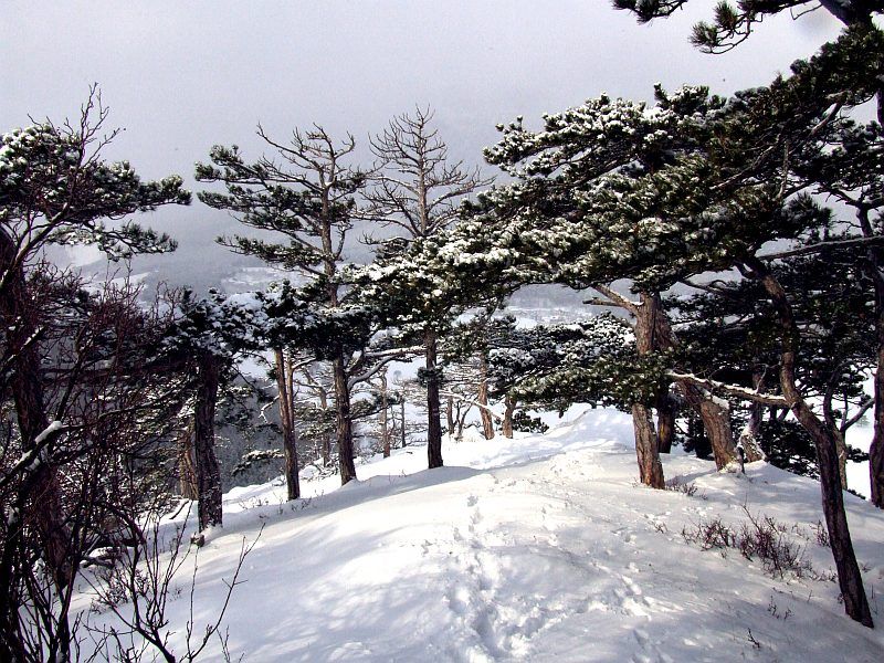 DSCF6701.jpg
