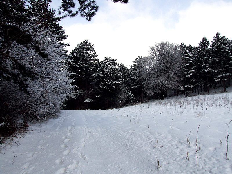DSCF6709.jpg
