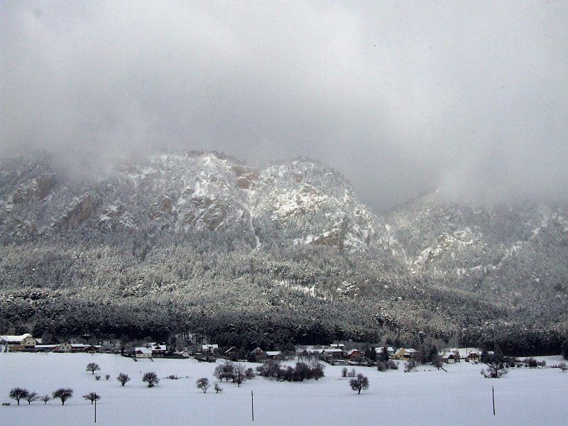 DSCF6715.jpg