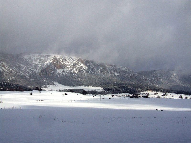 DSCF6724.jpg
