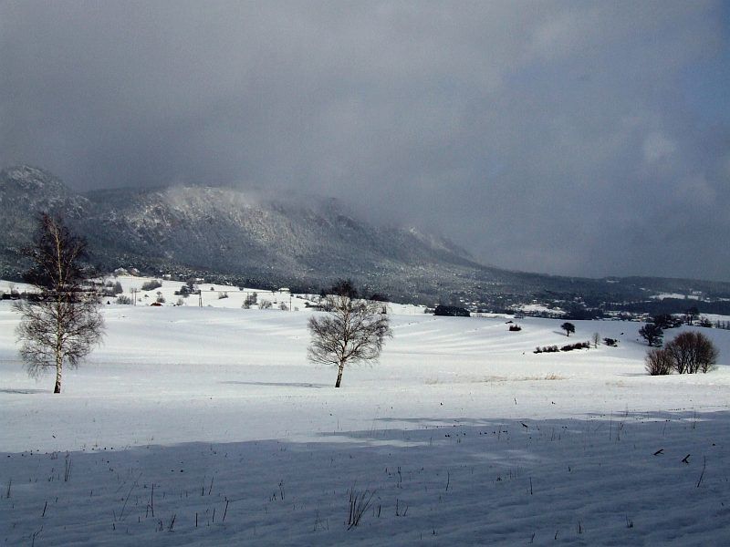 DSCF6726.jpg