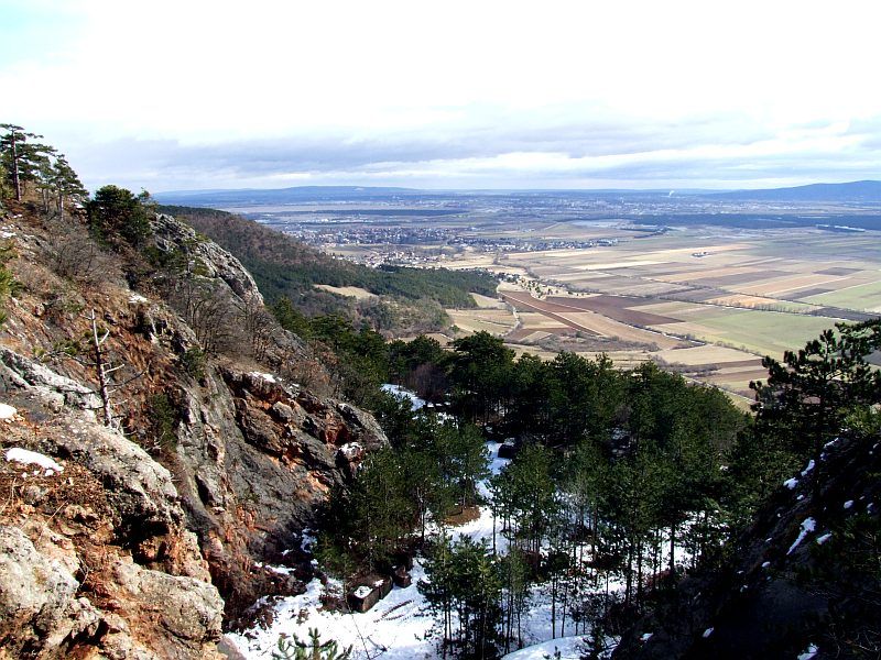 DSCF6737.jpg