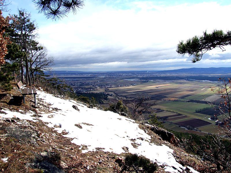DSCF6738.jpg