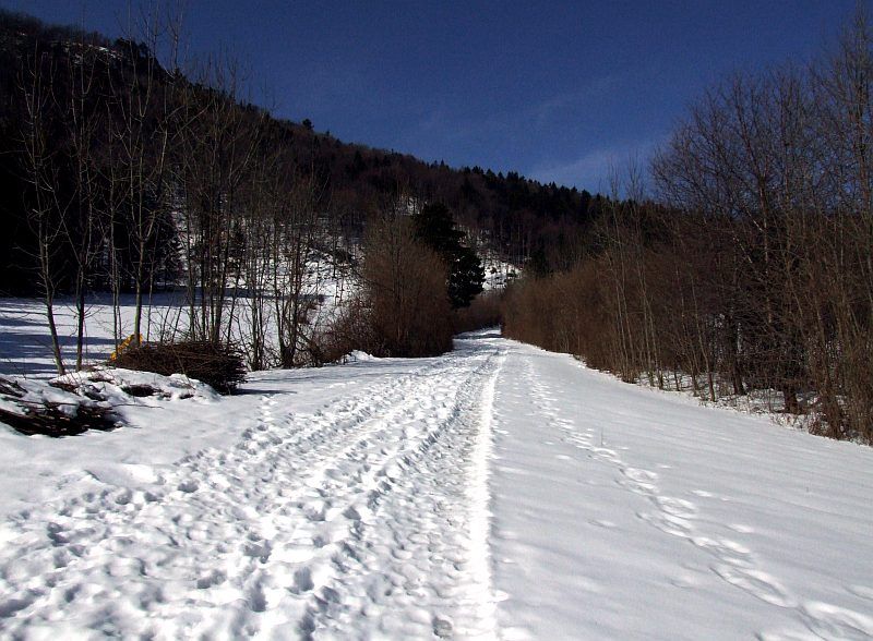 DSCF6762.jpg