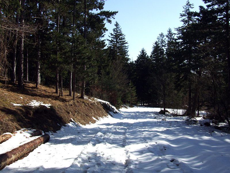 DSCF6763.jpg