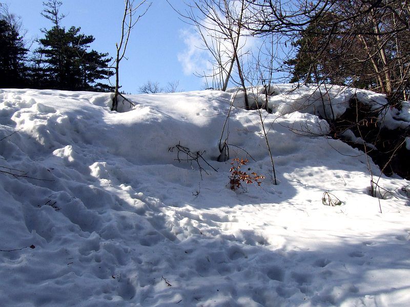 DSCF6765.jpg