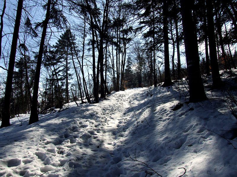 DSCF6768.jpg