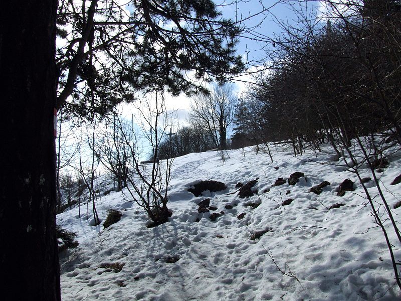 DSCF6769.jpg
