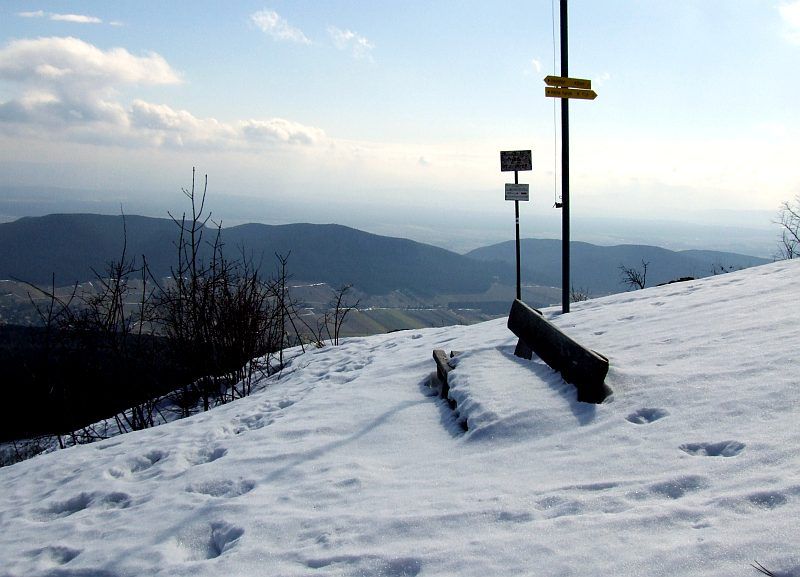DSCF6770.jpg