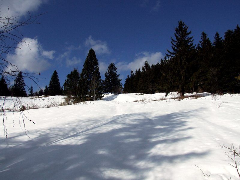 DSCF6780.jpg