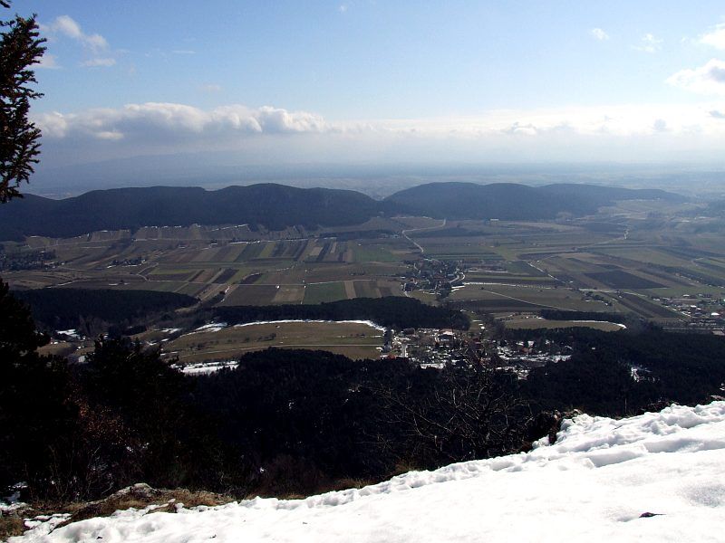 DSCF6781.jpg