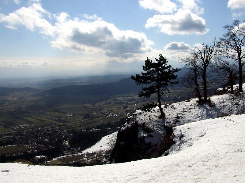 DSCF6782.jpg