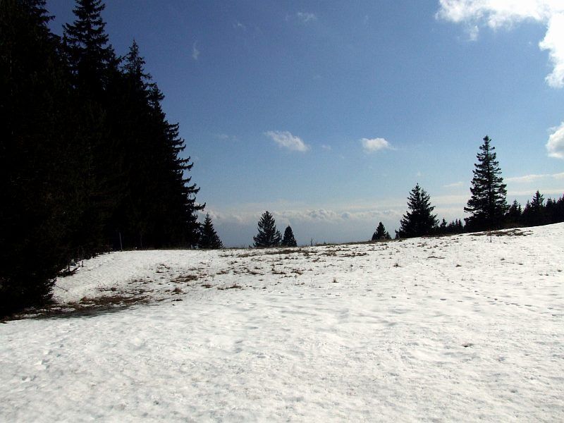 DSCF6794.jpg
