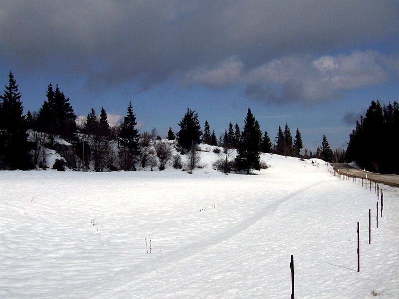 DSCF6795.jpg