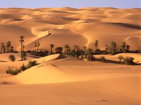 Desert_Oasis_Libya.jpg